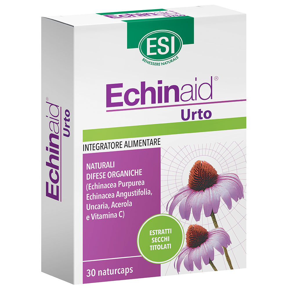 Echinaid Urto Esi