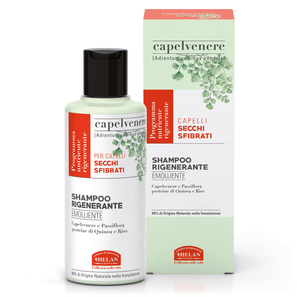 Shampoo Rigenerante Capelvenere Helan